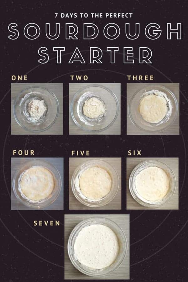 Sourdough Starter Tutorial